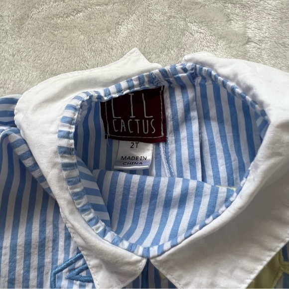 Lil Cactus second Birthday Romper blue white stripe embroidered sun 2t - Picture 4 of 5